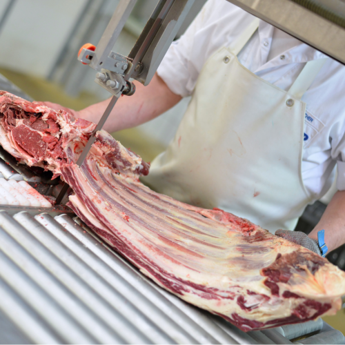 Büyükbaş Kurban Hissesi,Ücretsiz Kesim