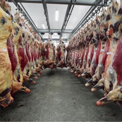 Kurban Satis Kesimhane